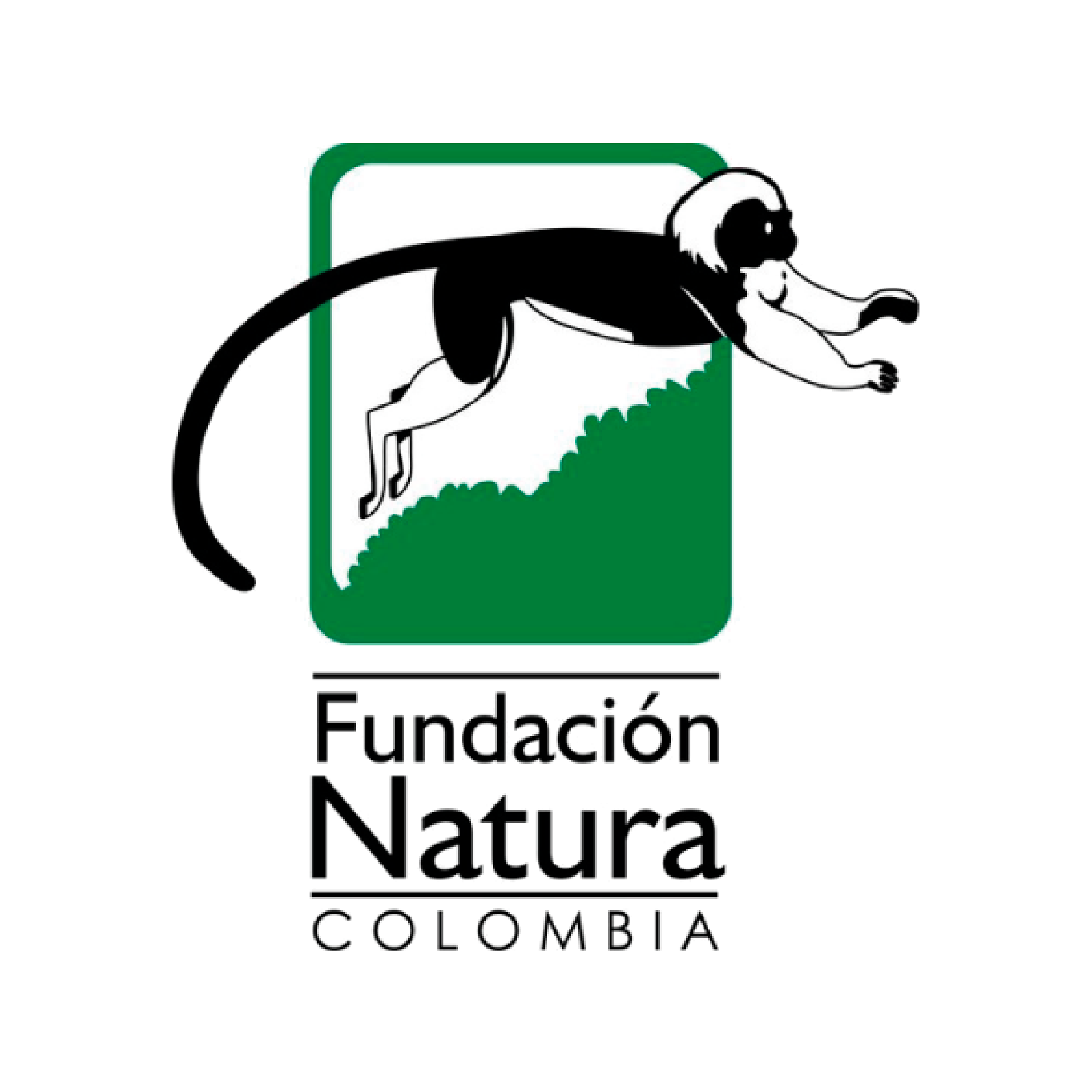 Logotipo_Fundación_Natura